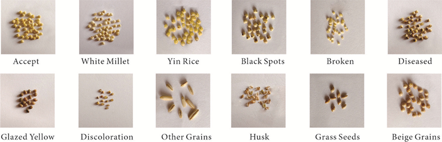 millet sorting machine