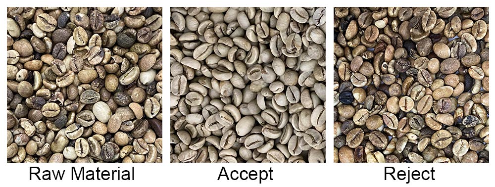 amd coffee bean sorting machine