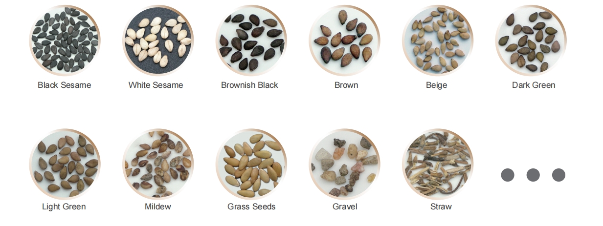 sesame color sorter