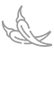 Belt-type Color Sorter