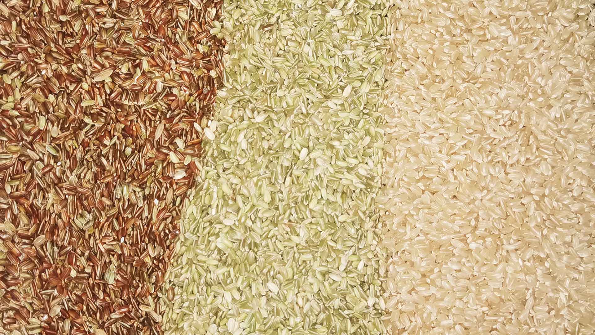 AMD Rice Color Sorter
